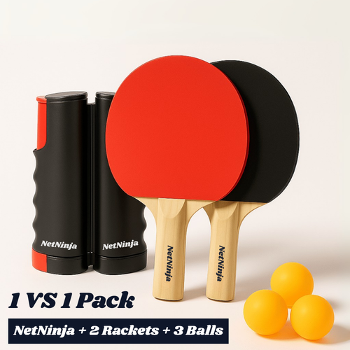 The Original NetNinja