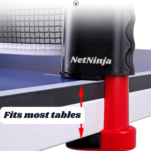 The Original NetNinja